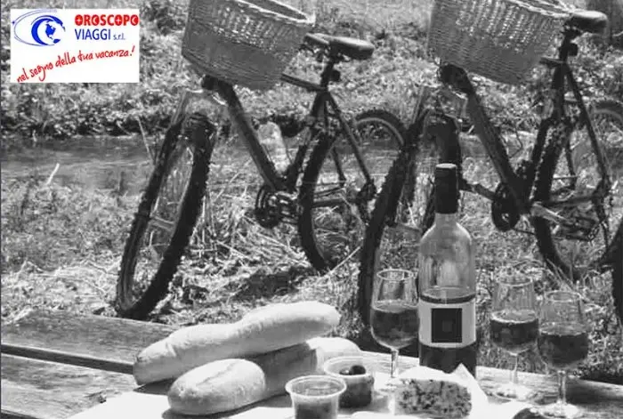 bike experience wine - food 