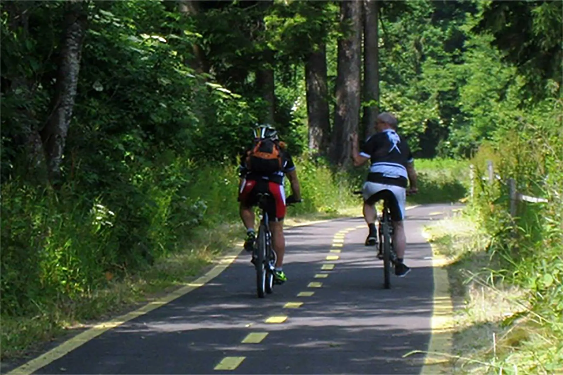 Tour mtb ciclovia del fiume oglio 